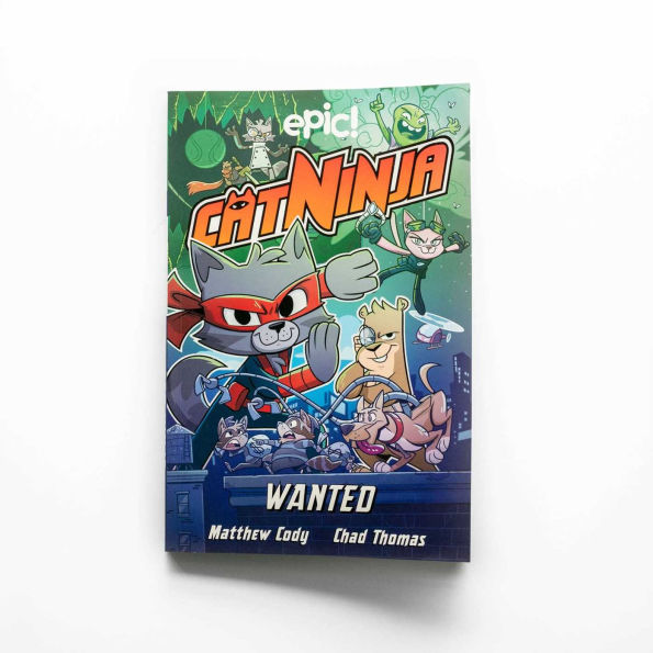 Cat Ninja: Wanted