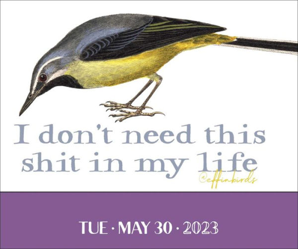 2023 Effin' Birds 2023 DaytoDay Calendar by Aaron Reynolds, Aaron