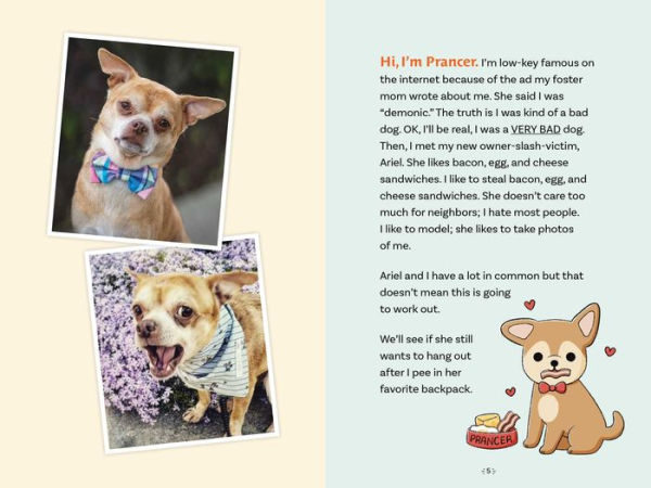 Prancer the Demon Chihuahua: Jokes, Activities, and More!