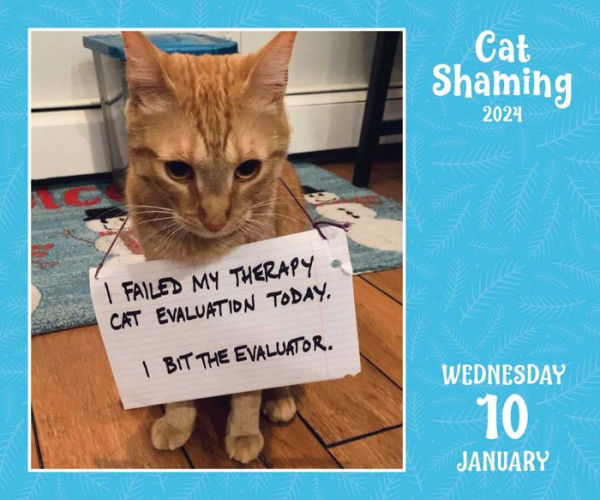 Cat Shaming 2024 DaytoDay Calendar by Pedro Andrade, Pedro Barnes