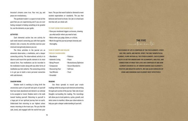 Elemental Alchemist Guided Journal