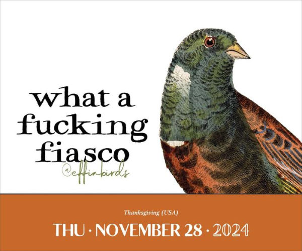 Effin' Birds 2024 DaytoDay Calendar by Aaron Reynolds, Aaron Barnes