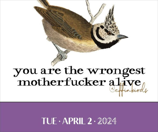 Effin' Birds 2024 DaytoDay Calendar by Aaron Reynolds, Aaron Barnes