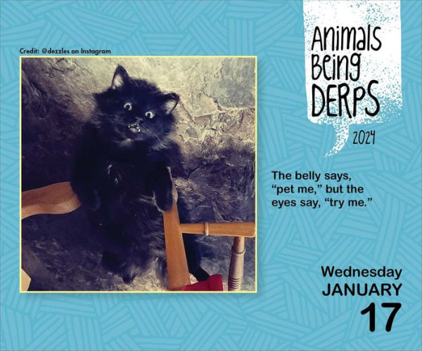 Animals Being Derps 2024 DaytoDay Calendar by Beverly L. Jenkins
