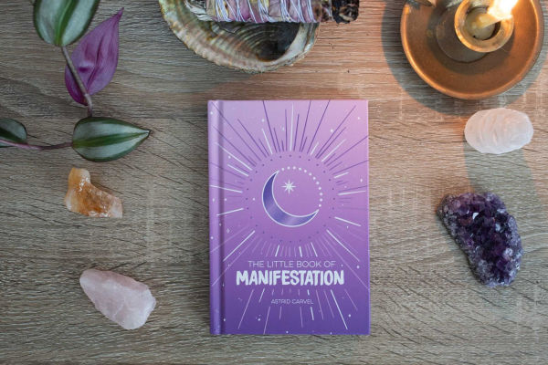 The Little Book of Manifestation