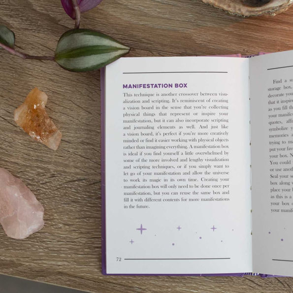 The Little Book of Manifestation