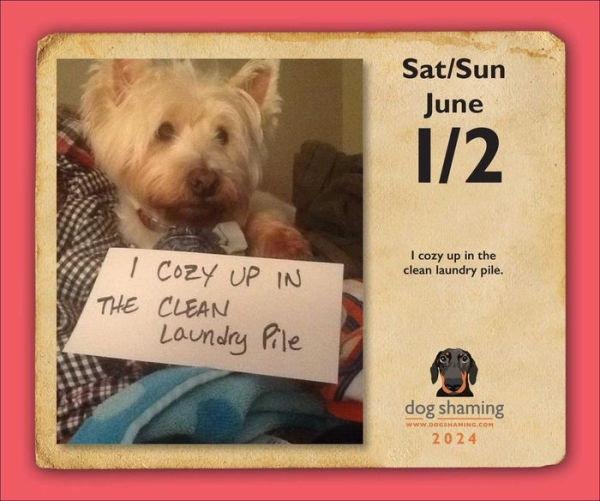 Dog Shaming 2024 DaytoDay Calendar by Pascale Lemire,
