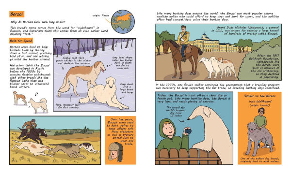 Why Are Dogs: An Illustrated History of the Wonderful World Dogs
