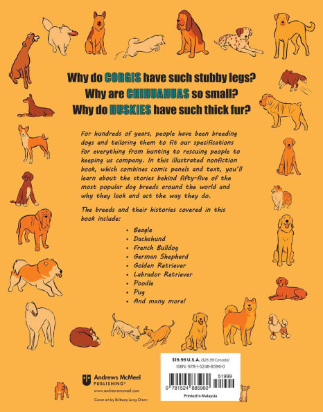 Why Are Dogs: An Illustrated History of the Wonderful World Dogs