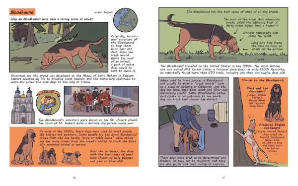 Why Are Dogs: An Illustrated History of the Wonderful World Dogs