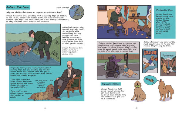 Why Are Dogs: An Illustrated History of the Wonderful World Dogs
