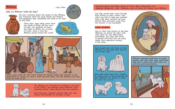 Why Are Dogs: An Illustrated History of the Wonderful World Dogs