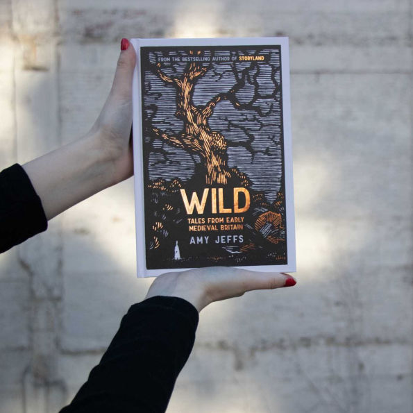 Wild: Tales from Early Medieval Britain