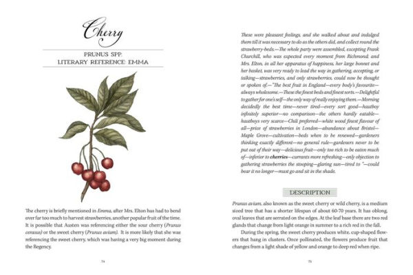 Jane Austen's Garden: A Botanical Tour of the Classic Novels