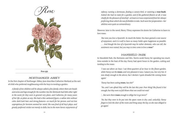 Jane Austen's Garden: A Botanical Tour of the Classic Novels