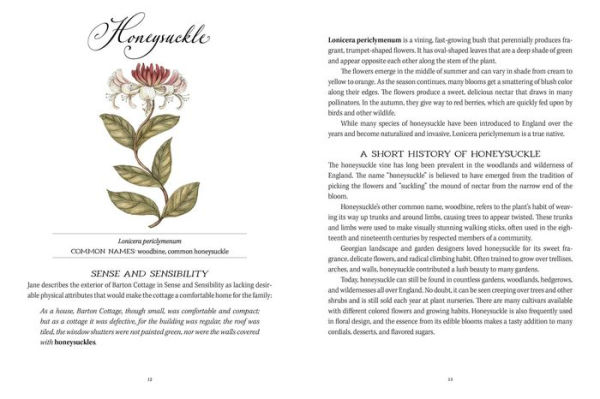 Jane Austen's Garden: A Botanical Tour of the Classic Novels