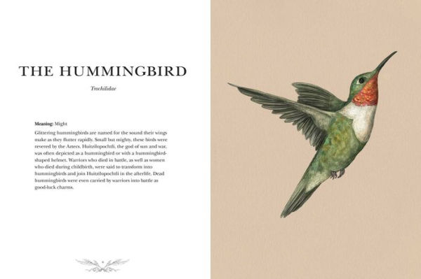 Ornithography: An Illustrated Guide to Bird Lore & Symbolism