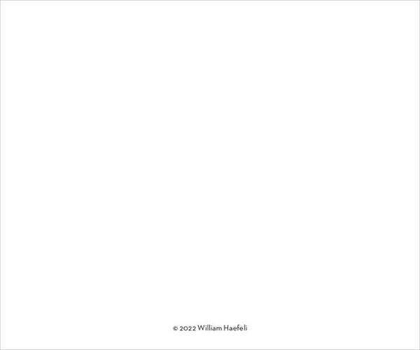 2025 Cartoons from The New Yorker DaytoDay Calendar by Conde Nast