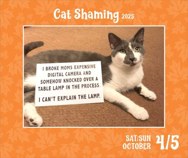2025 Cat Shaming Day-to-Day Calendar