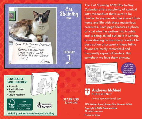 2025 Cat Shaming Day-to-Day Calendar
