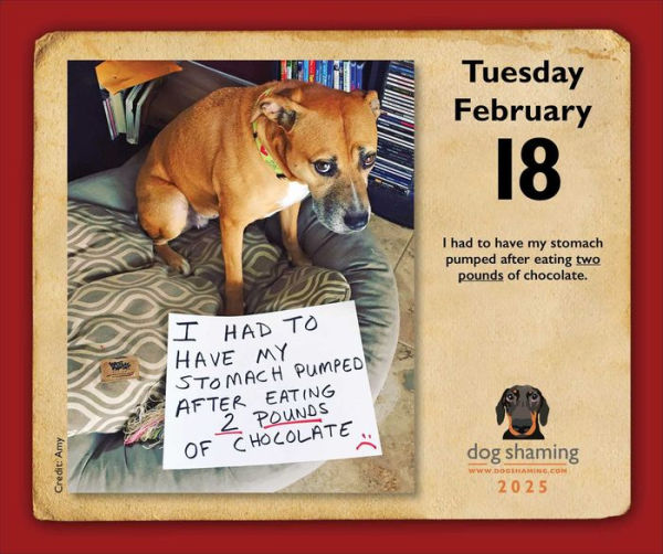 2025 Dog Shaming Day-to-Day Calendar