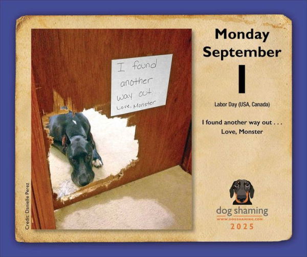 2025 Dog Shaming Day-to-Day Calendar