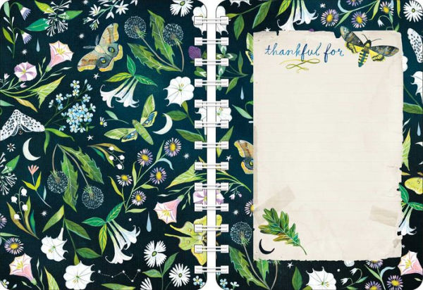 2025 Katie Daisy Weekly/Monthly Planner Calendar