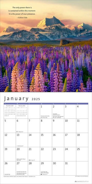 The Power of Now 2025 Wall Calendar: A Year of Inspirational Quotes