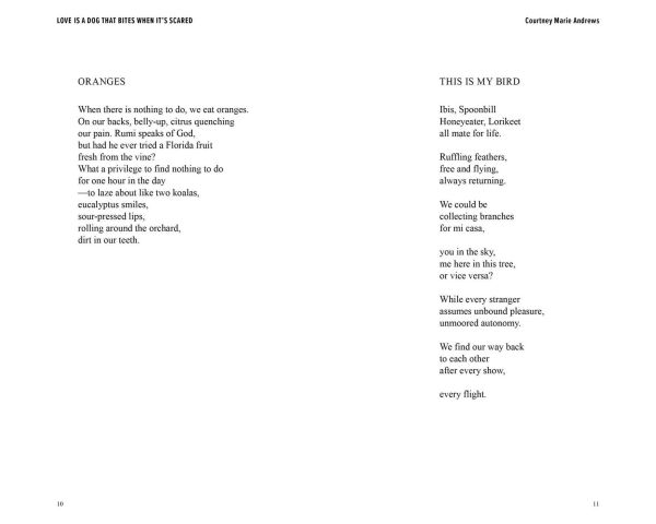 Love Is a Dog That Bites When It's Scared