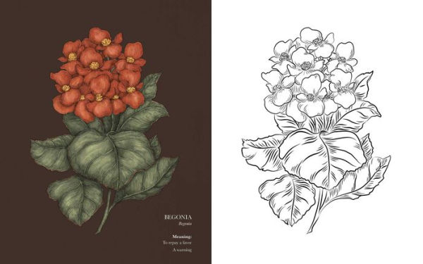 Floriography Coloring Book