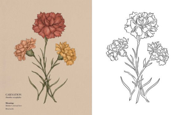 Floriography Coloring Book