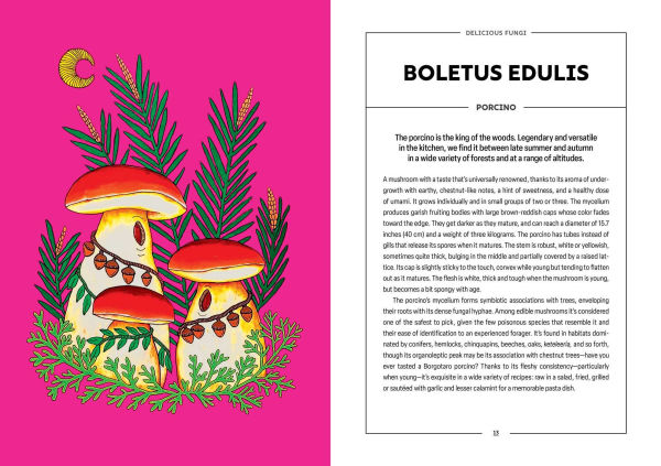 Powerful Mushrooms: An Illustrated Anthology