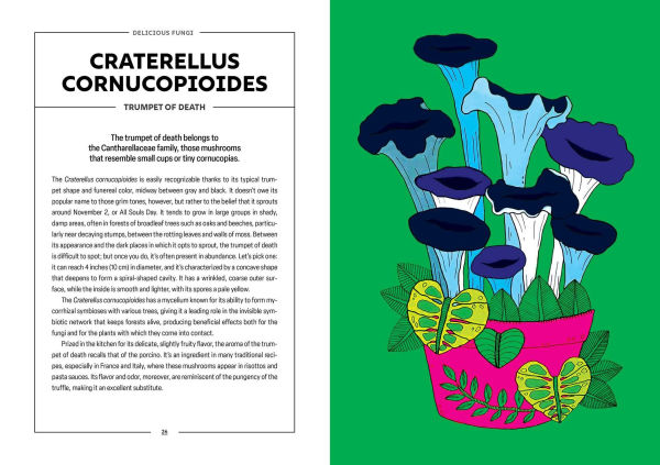 Powerful Mushrooms: An Illustrated Anthology