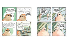 Alternative view 7 of Ew, It's Beautiful: A False Knees Comic Collection