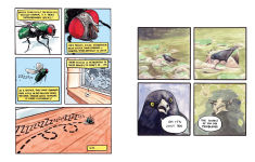 Alternative view 8 of Ew, It's Beautiful: A False Knees Comic Collection