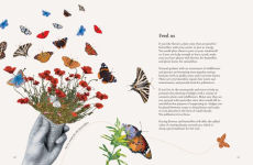 Alternative view 2 of On a Butterfly's Wing: Lessons from Nature on Embracing Change