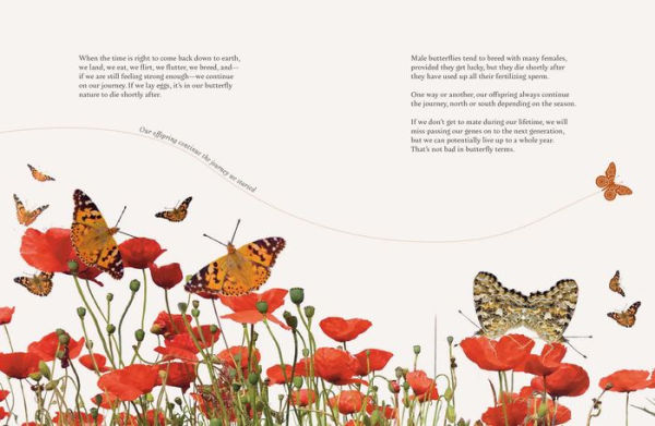 On a Butterfly's Wing: Lessons from Nature on Embracing Change