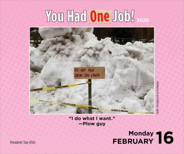 2026 You Had One Job Day-to-Day Calendar