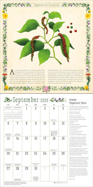 2026 Kitchen Witch Wall Calendar