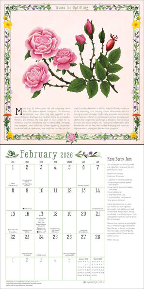 2026 Kitchen Witch Wall Calendar