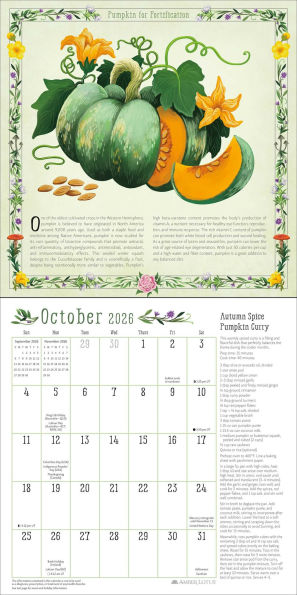 2026 Kitchen Witch Wall Calendar