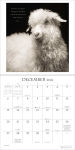 Alternative view 3 of I Am Goat 2026 Wall Calendar: Wisdom from Nature's Philosophers