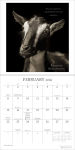 Alternative view 5 of I Am Goat 2026 Wall Calendar: Wisdom from Nature's Philosophers