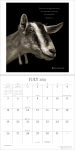Alternative view 6 of I Am Goat 2026 Wall Calendar: Wisdom from Nature's Philosophers