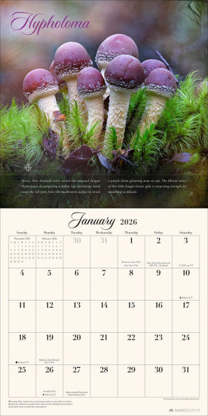 The Miraculous Mushroom 2026 Wall Calendar: With Fabulous Fungi Facts