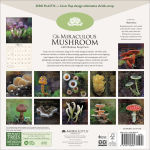 Alternative view 3 of The Miraculous Mushroom 2026 Wall Calendar: With Fabulous Fungi Facts