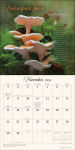 Alternative view 4 of The Miraculous Mushroom 2026 Wall Calendar: With Fabulous Fungi Facts