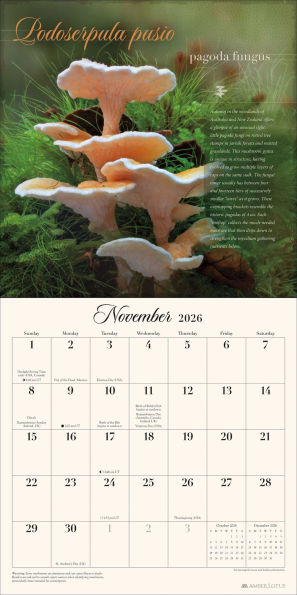 The Miraculous Mushroom 2026 Wall Calendar: With Fabulous Fungi Facts