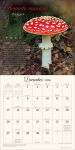 Alternative view 5 of The Miraculous Mushroom 2026 Wall Calendar: With Fabulous Fungi Facts