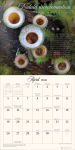 Alternative view 6 of The Miraculous Mushroom 2026 Wall Calendar: With Fabulous Fungi Facts